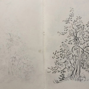 Franziska Guettler_THINGS18 | Zeichnung, 2013